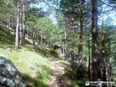 Maliciosa - Sierra de los Porrones [Serie Clásica] excursiones en madrid y alrededores senderismo p